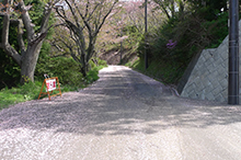 三千本桜で有名な積善山